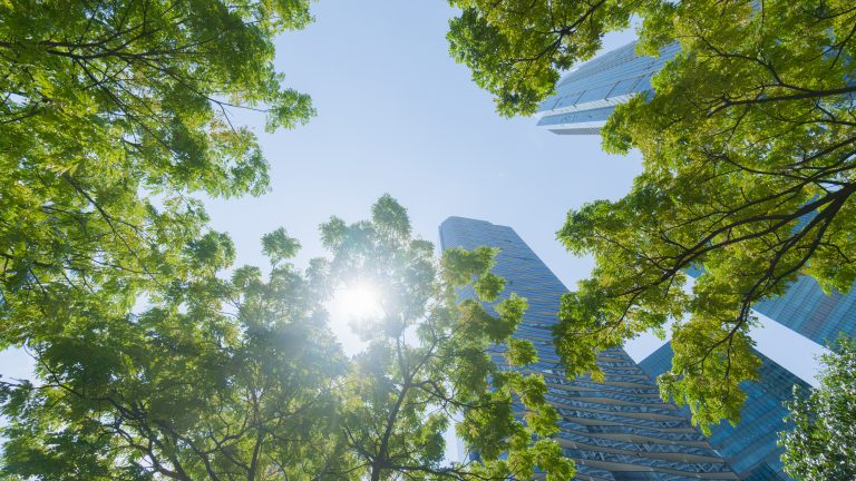 lights penetrating through green leaves, symbolizing hope, symbolising corporate renewable energy procurement through CRESS and CREAM access charge reductions